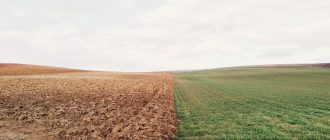 Услуги кадастрового инженера в г. Самара